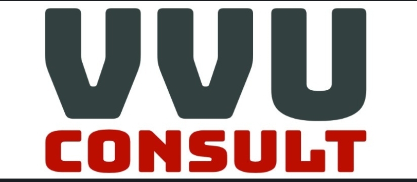 vvuconsult.nl
